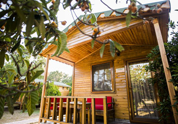 SECRET GARDEN HOTEL & BUNGALOWS